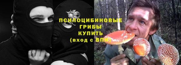 apvp Кинешма