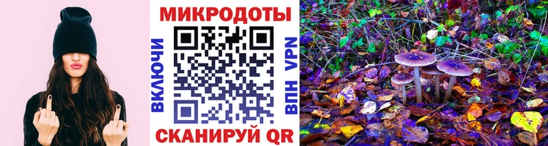 Галлюциногенные грибы Psilocybine cubensis  Купить закладки  Кувандык 